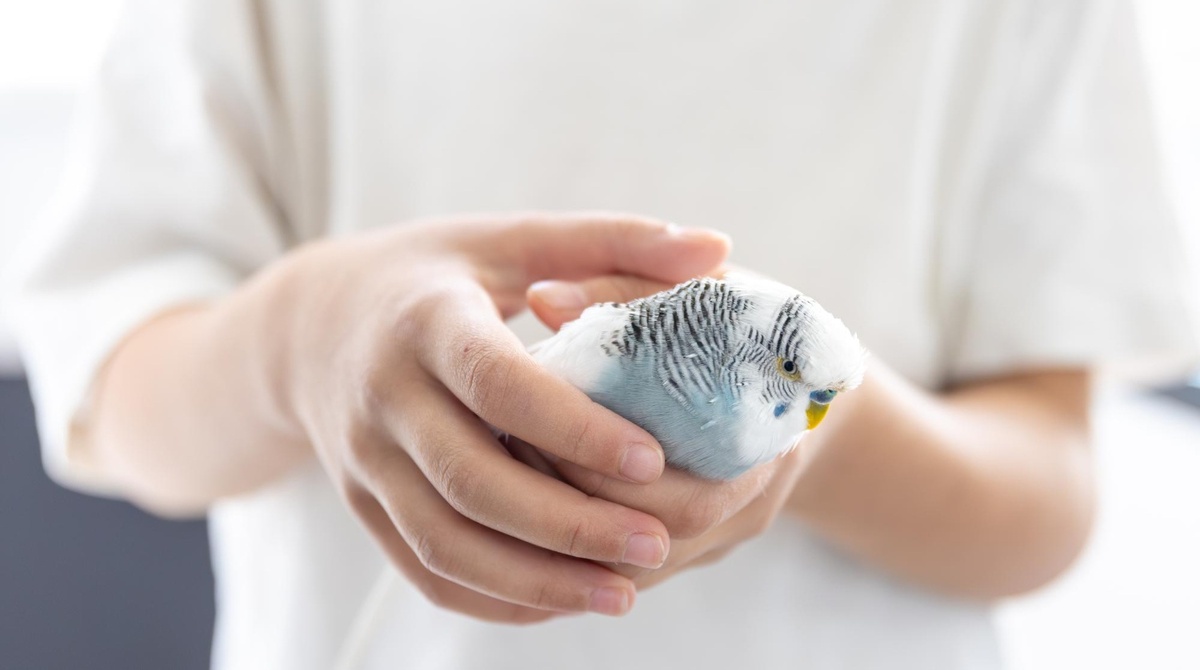 Источник: freepik.com