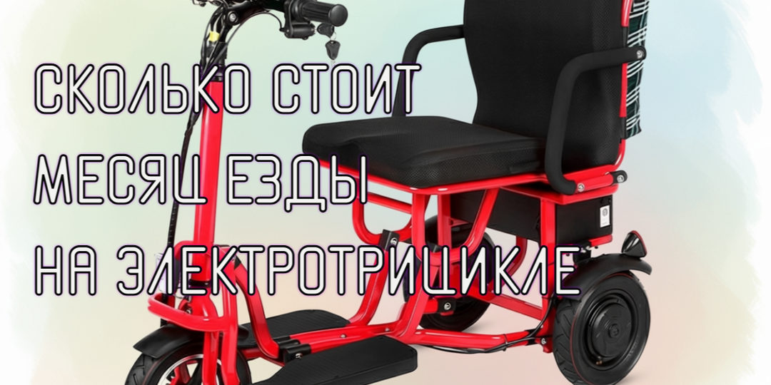 Электротрицикл для пожилых: экономика владения. Сколько стоит месяц езды на электротрицикле?
