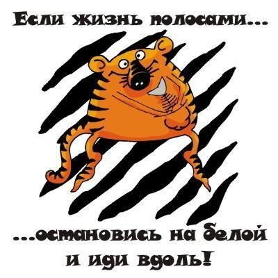 Картинка из открытого доступа