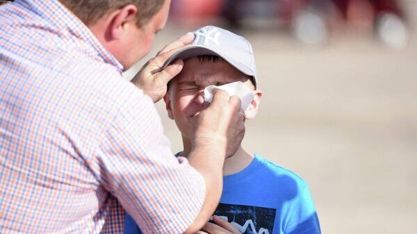    © Sputnik / Мария Амелина