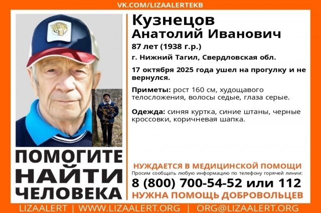    Фото: «Лиза Алерт»