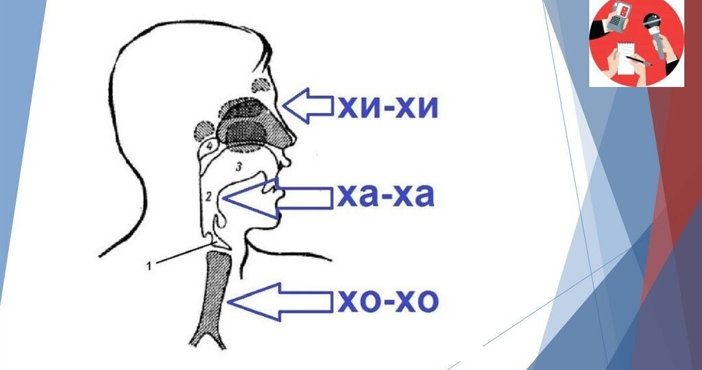 7 важных моментов теории:опора,сильные и слабые доли,филировка звука,квадратные мышцы,переход от одного звука к другому,резонаторы.