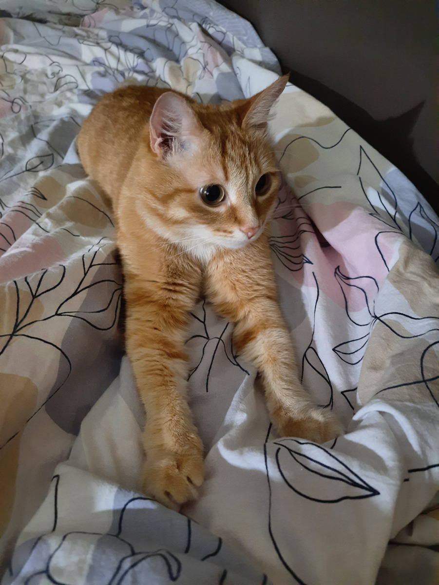 Хочется вот также лежать