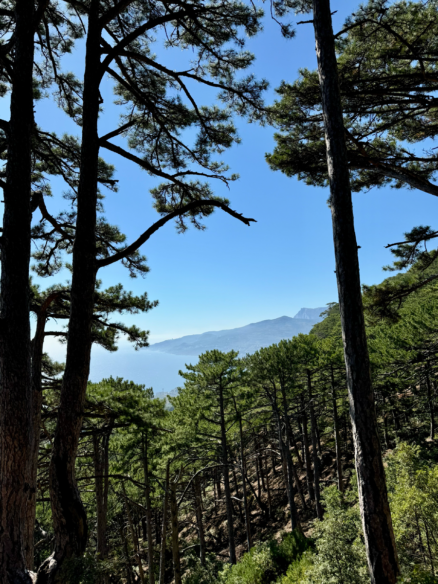 Жаль, что через фото нельзя передать аромат...