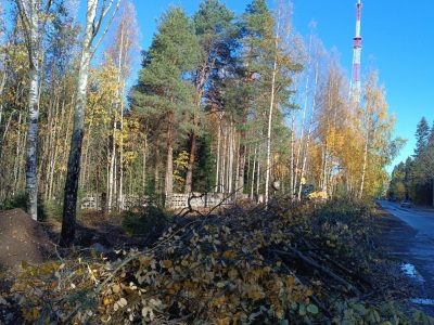    Фото: ГТРК Карелия