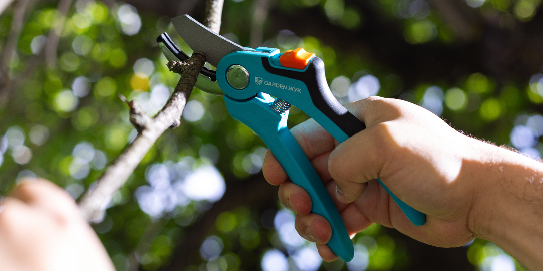 Как обрезать малину осенью: секреты большого урожая на будущий год