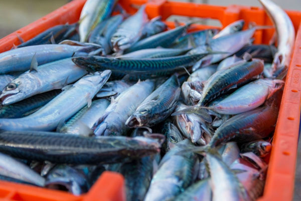     Фото: unsplash.com