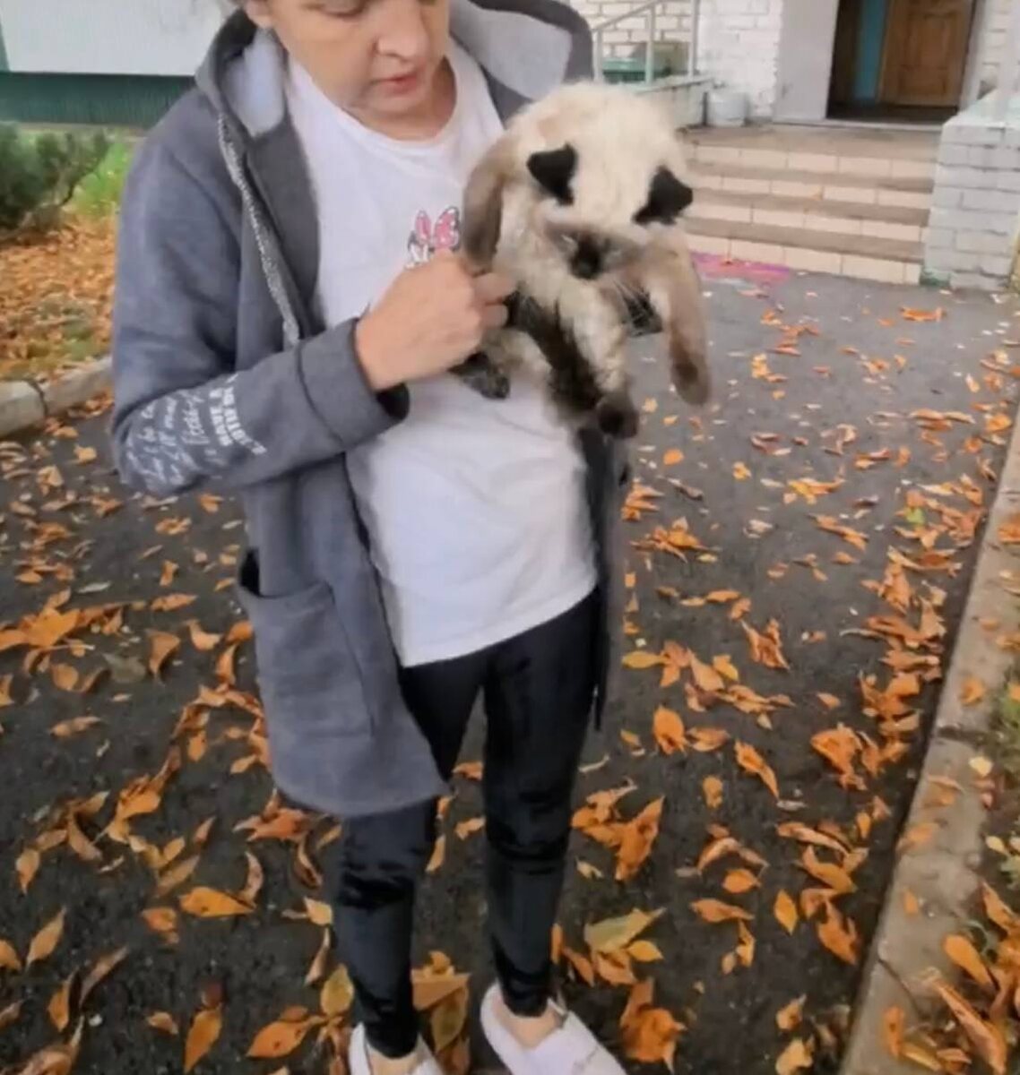 Вроде бы кошка и в семье, а вроде и без семьи. Фото из архива автора