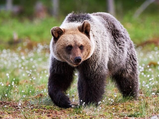    Фото: depositphotos/LuaAr