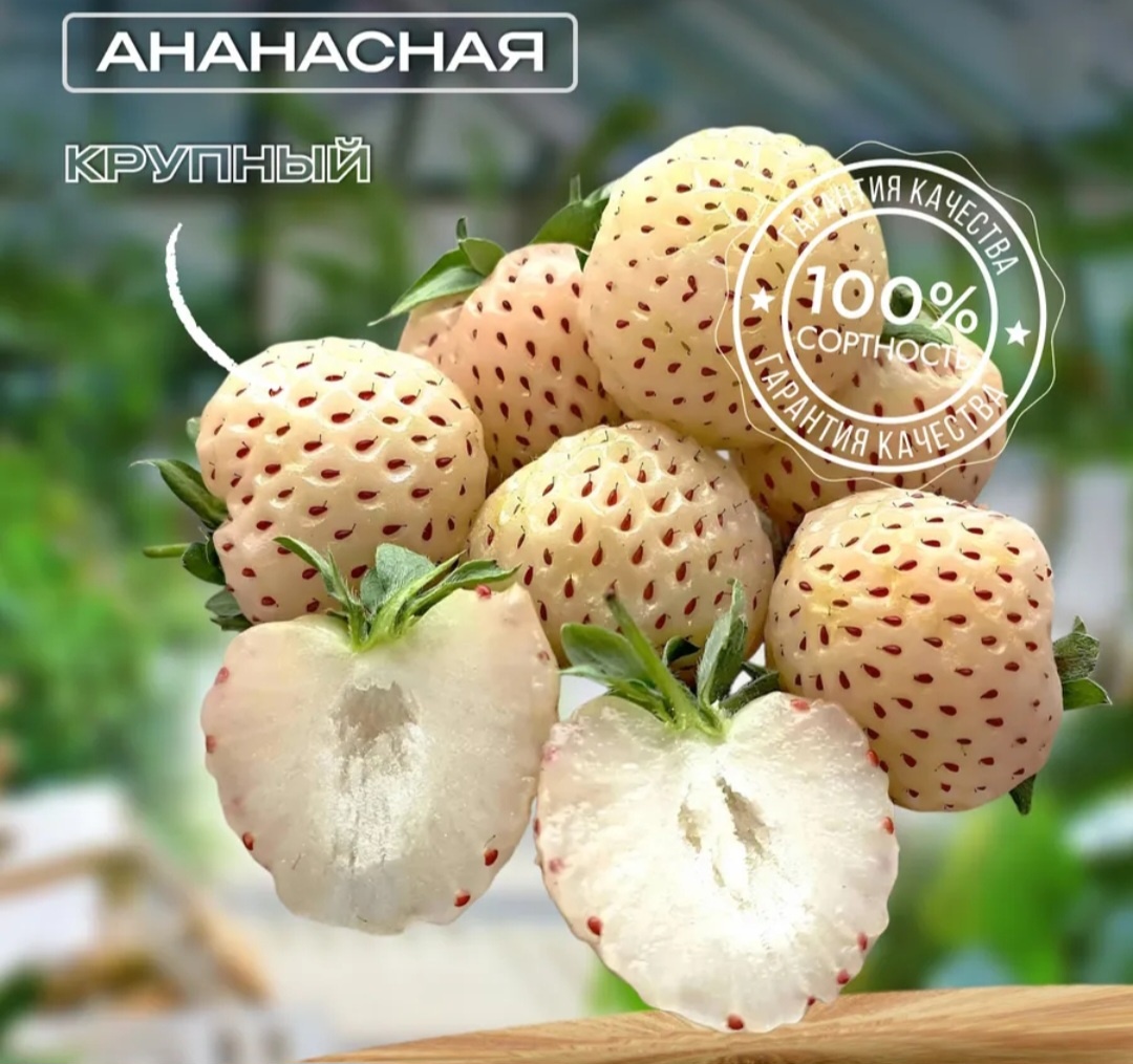 Почти такой ее и помню!