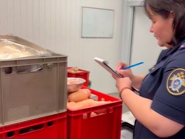    Фото: телеграм-канал "Следком"