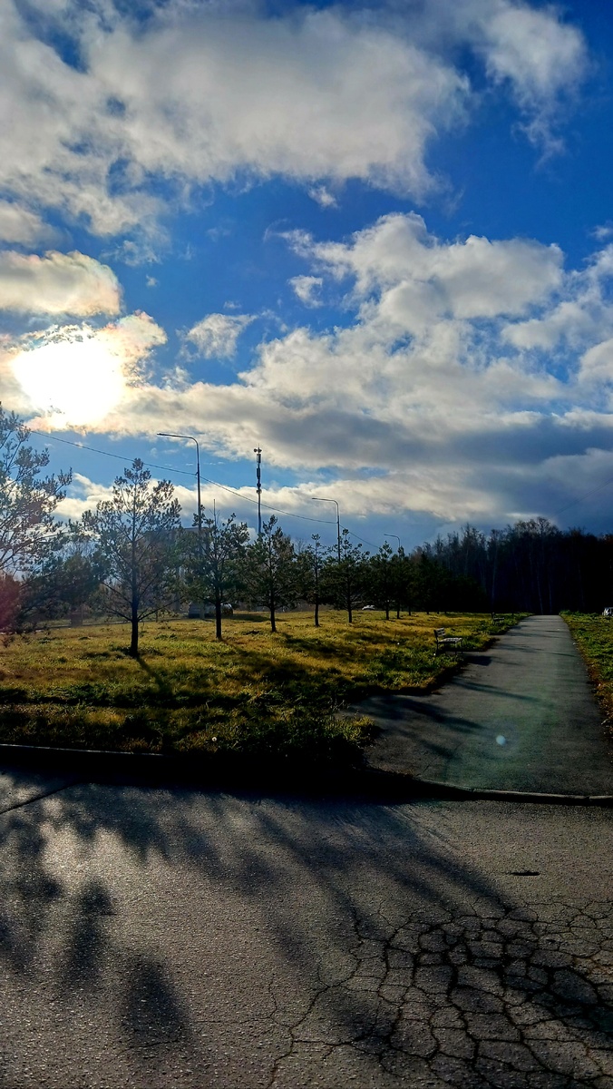 "Доброе утро, мир! Ты прекрасен!" Фото автора