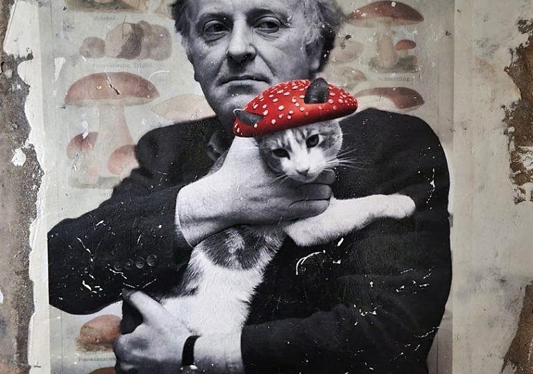 «Если после моей смерти к тебе придёт рыжий кот, не гони его – это буду я». Поэт Иосиф Бродский: полтора кота и немного рифмы