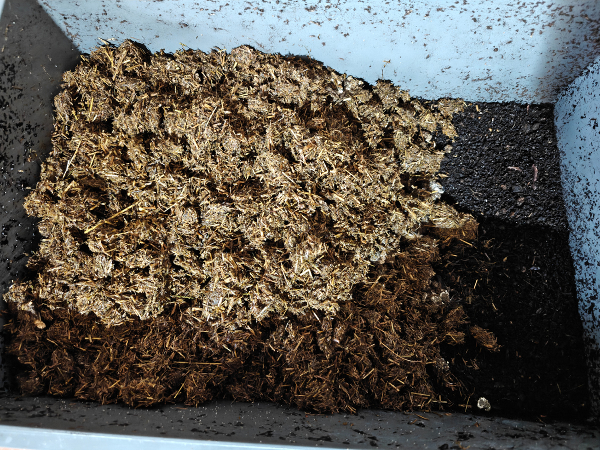 Сверху слой сена