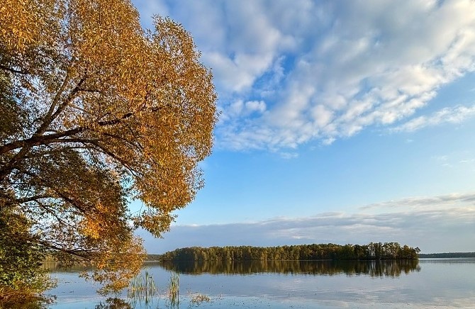 Озеро Еловое. Фото: Катерина Карыгина / ВКонтакте