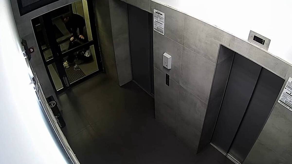    Фото: Telegram / Baza