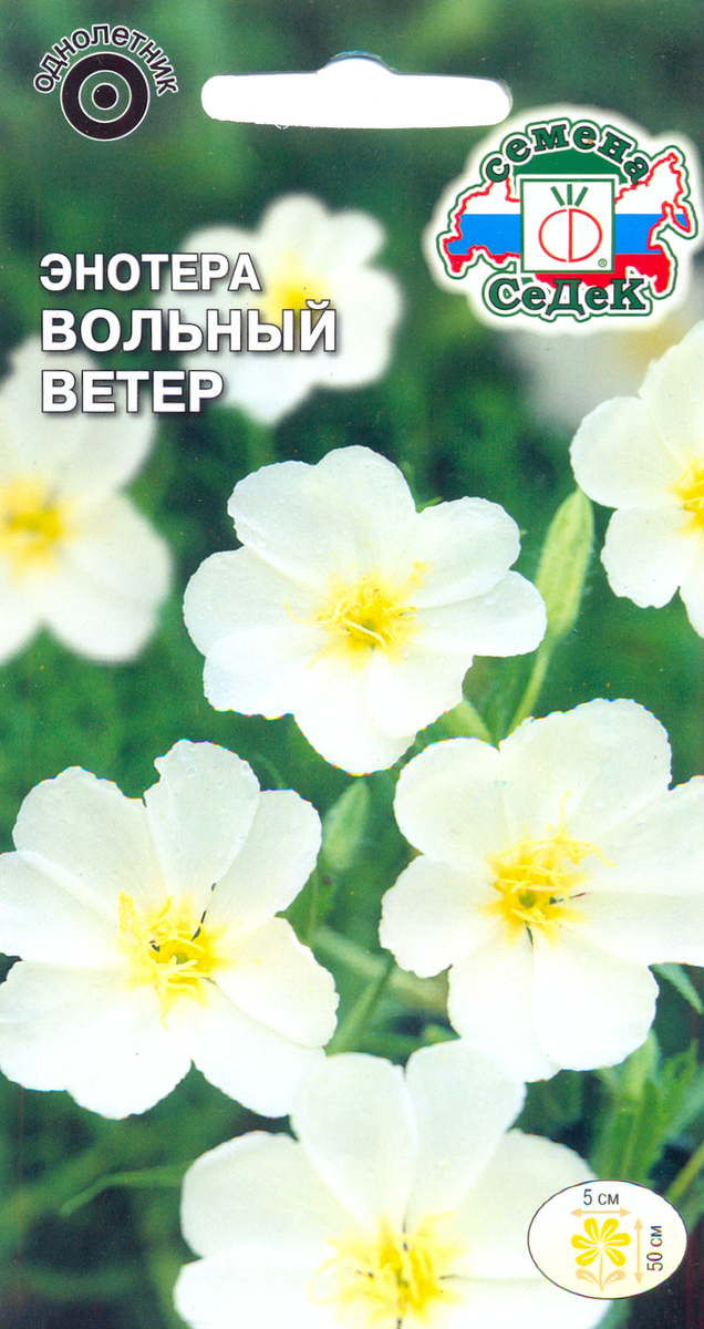 Энотера белая “Вольный Ветер”