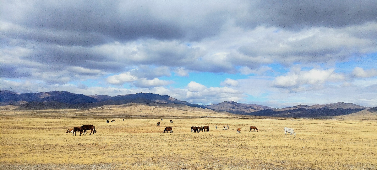 Степи Каа-Хемского кожууна