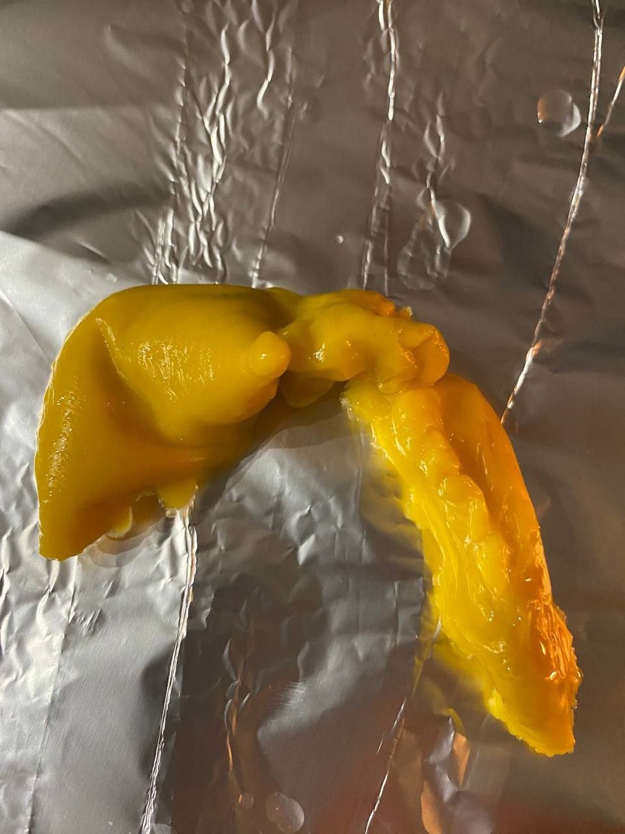 Печень на отливке кошки. Это лишь одна из отливок. Дальше были хуже.