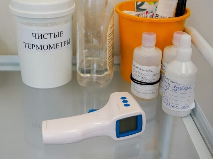     Медсестра будет просвещать школьников и родителей, рассказывая о здоровом образе жизни. Фото: пресс-служба Минздрава Новгородской области