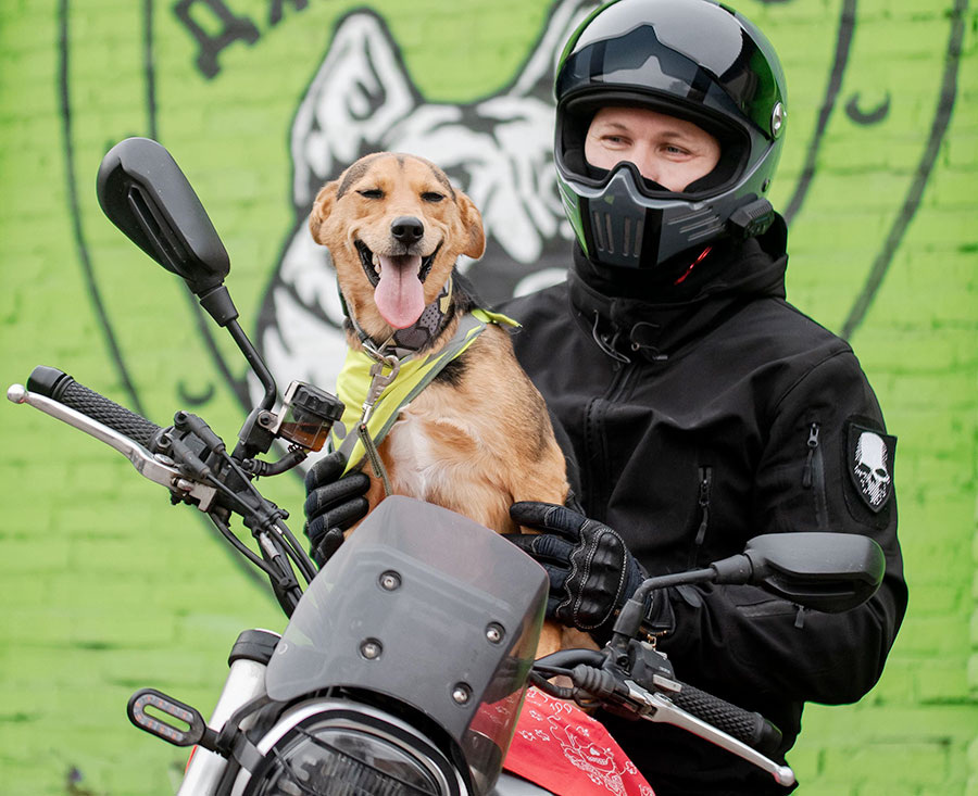 Фото Ильи Логачева