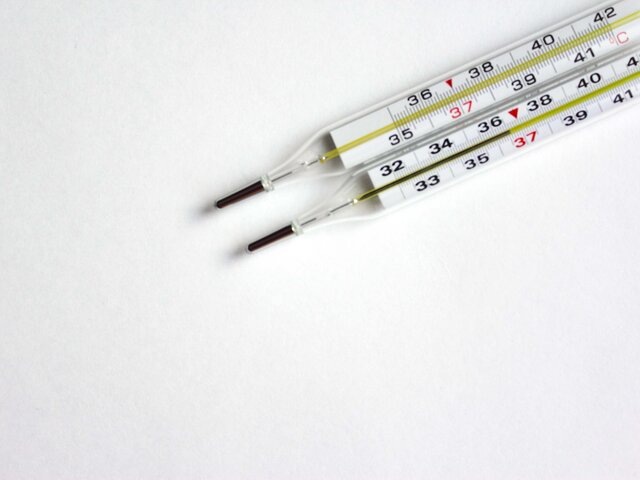    Фото: 123RF/Mira@El