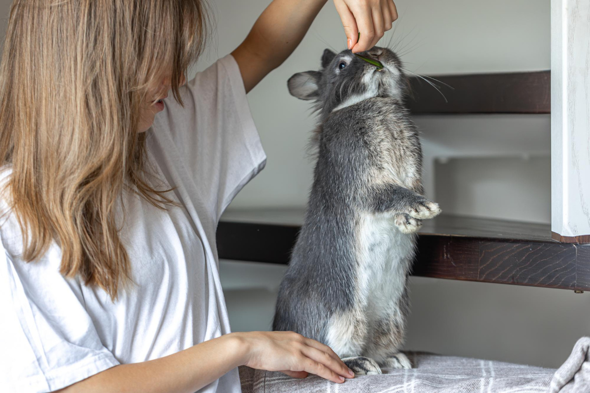 Источник: freepik.com