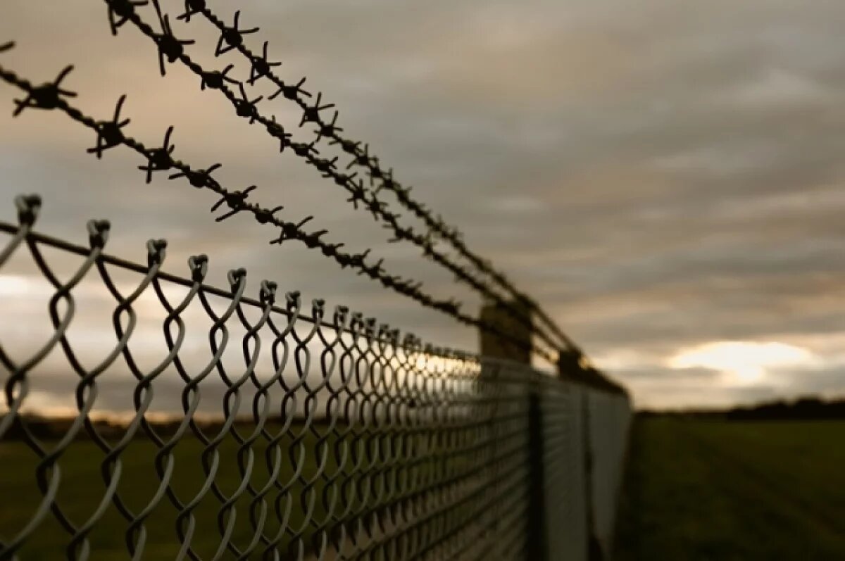    Жительницу Новомосковска осудили за пронос наркотиков в колонию-поселение