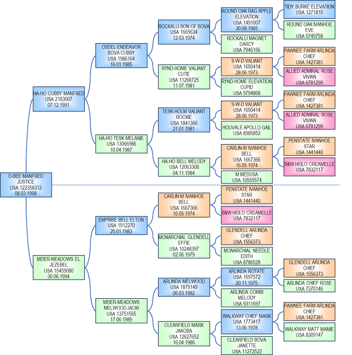 Пример сложного инбридинга потомка, полученного от инбредных родителей