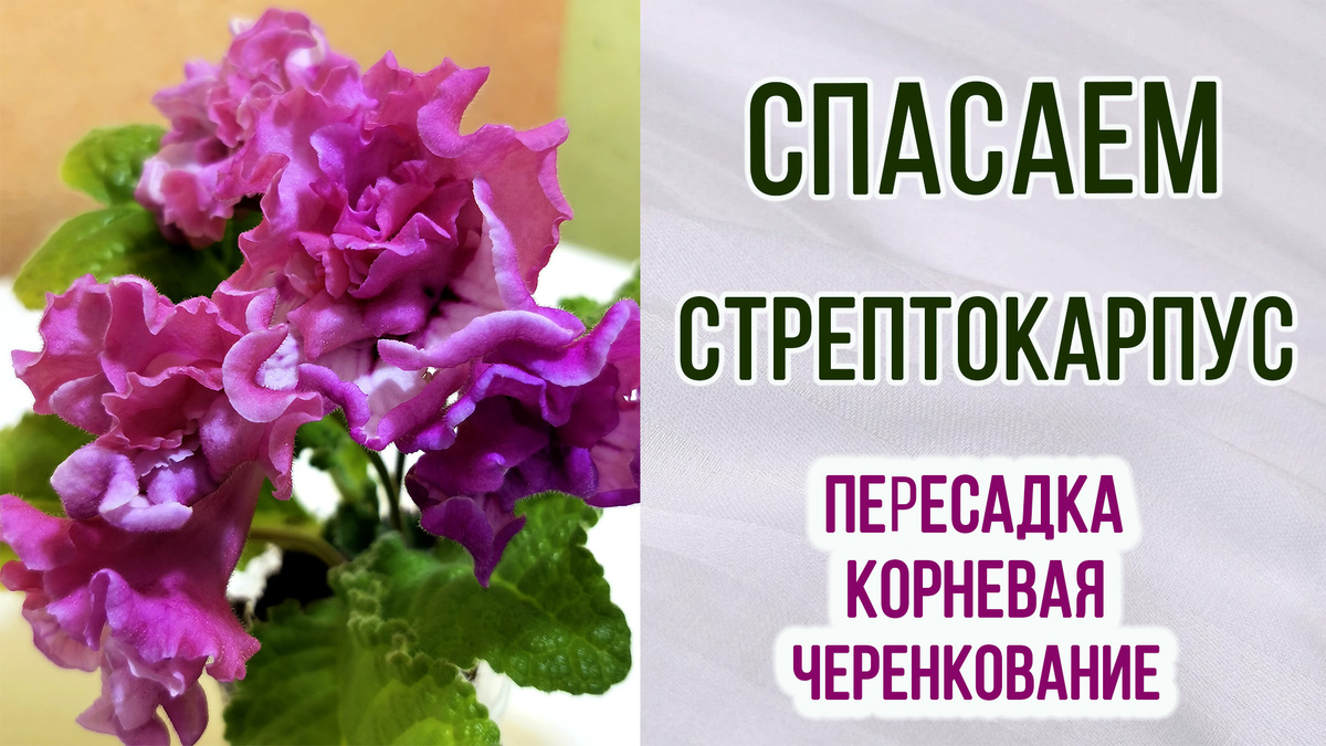 Видео есть на канале. Ниже ссылка.