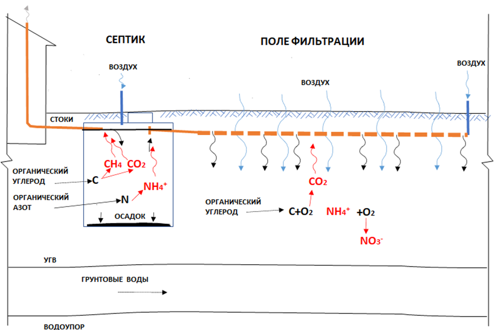 Схематический разрез системы "Септик - поле фильтрации"