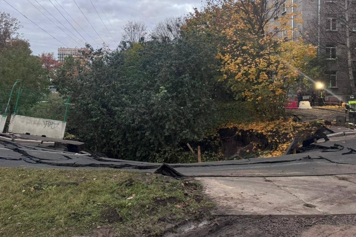    Фото: Прокуратура г. Санкт-Петербурга Источник: t.me/procspb