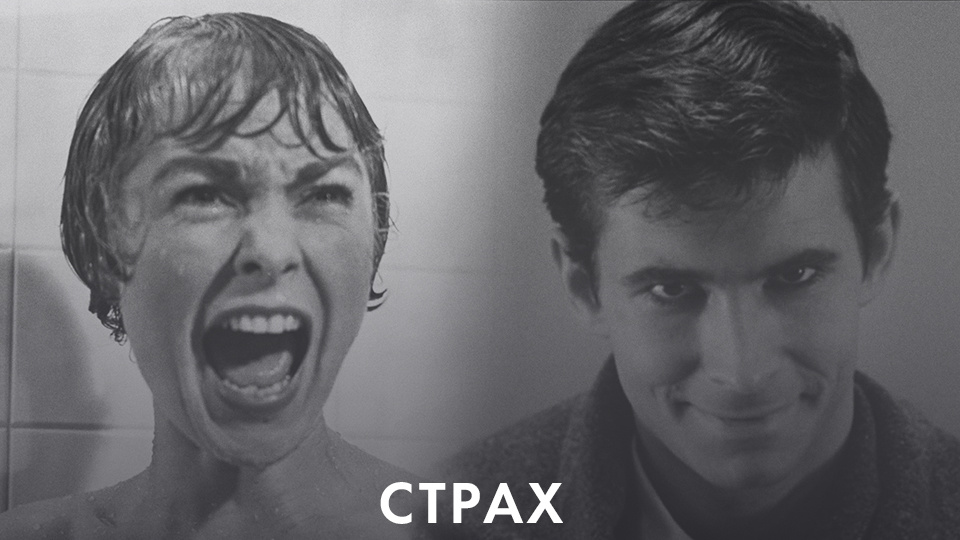 СТРАХ СКРЫВАЕТ ПОРОКИ?