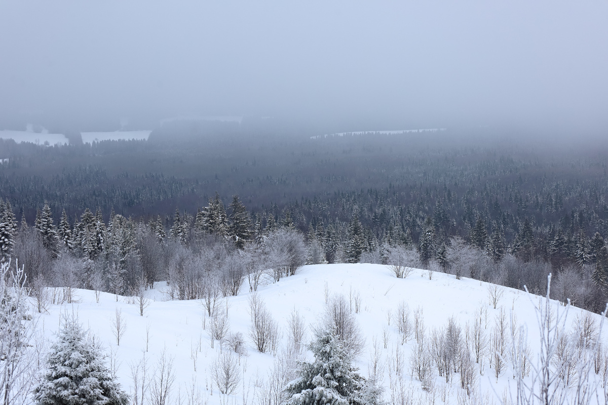 Фото: Elena Mayorova/Global Look Press