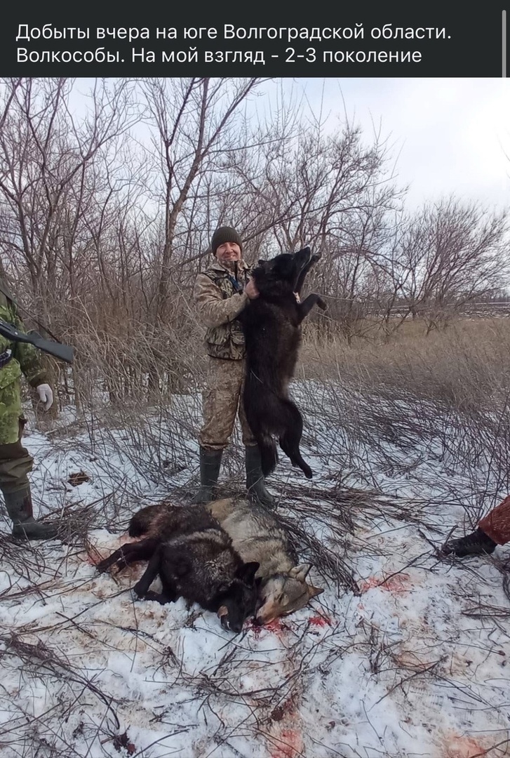 Фото из интернета