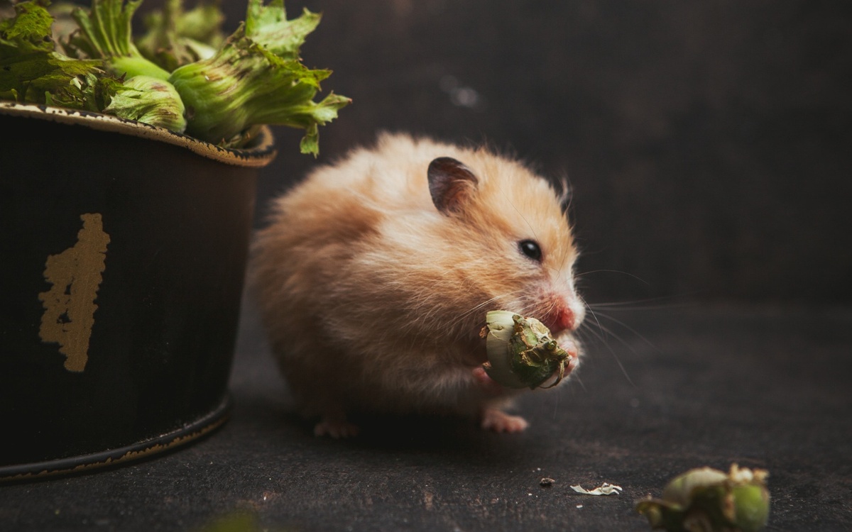 Источник: freepik.com