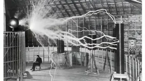    Фото: скрин видео с канала "Дачный ответ", источник: youtube.com