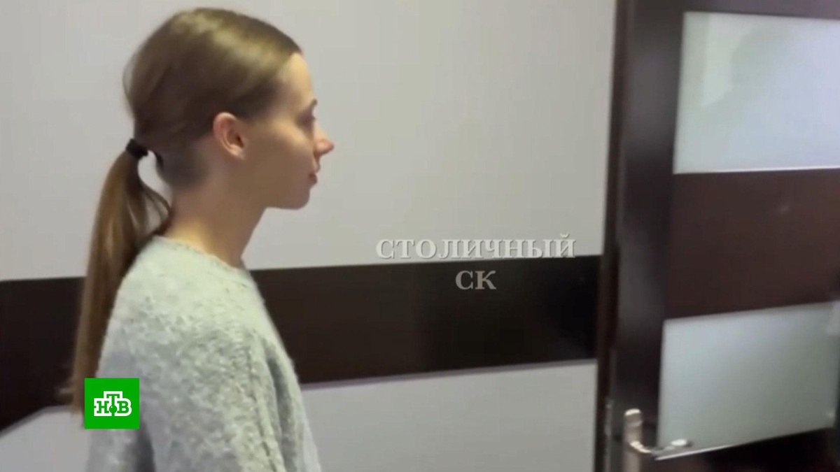    Блогера Митрошину отправили под домашний арест