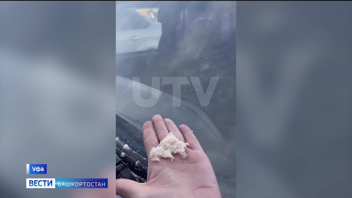    В Уфе выпал «дождь из опилок»