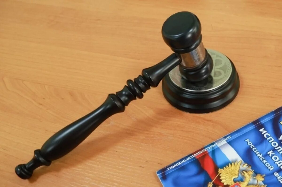    В Прикамье многодетную мать осудили за мошенничество с выплатой на квартиру