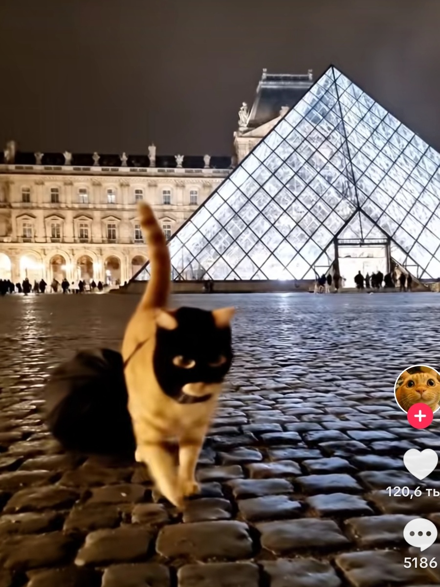 К слову, в ТикТоке похитителя уже нашли. 