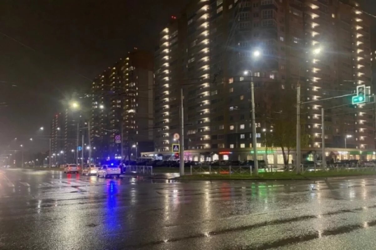    Во Владимире водитель Toyota сбил двух человек на пешеходном переходе