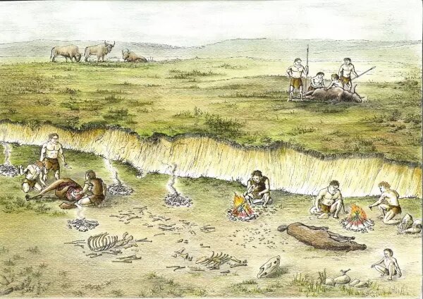    Фото: ЮНЦ РАН Веселовские вести