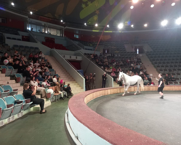     В Курске дети участников СВО посетили открытую репетицию в цирке