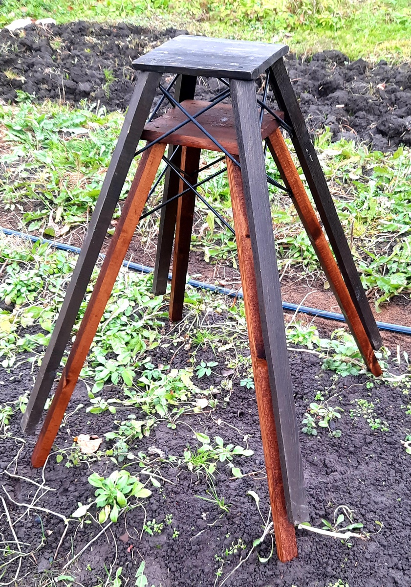 Фото автора. 