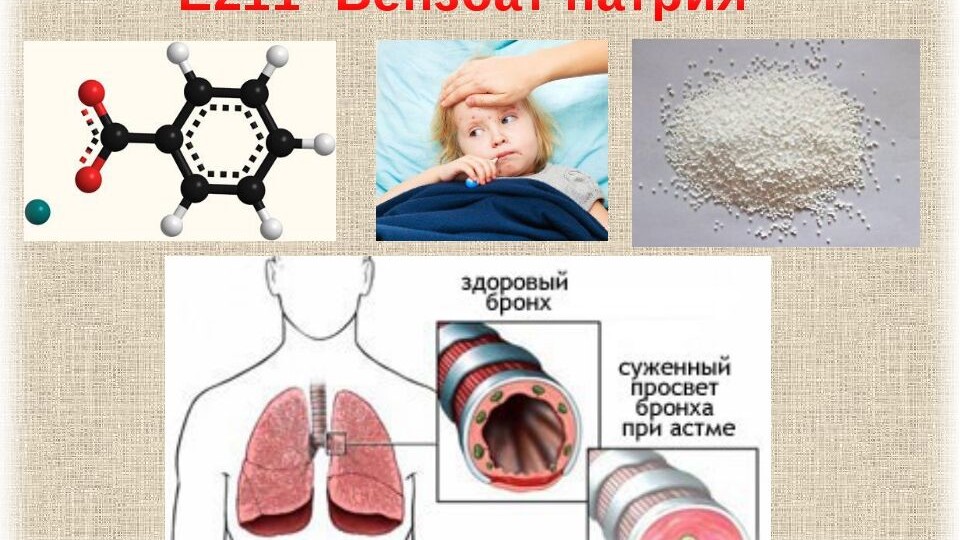 Исследования Е-добавок: «как влияют консерванты на живой организм»