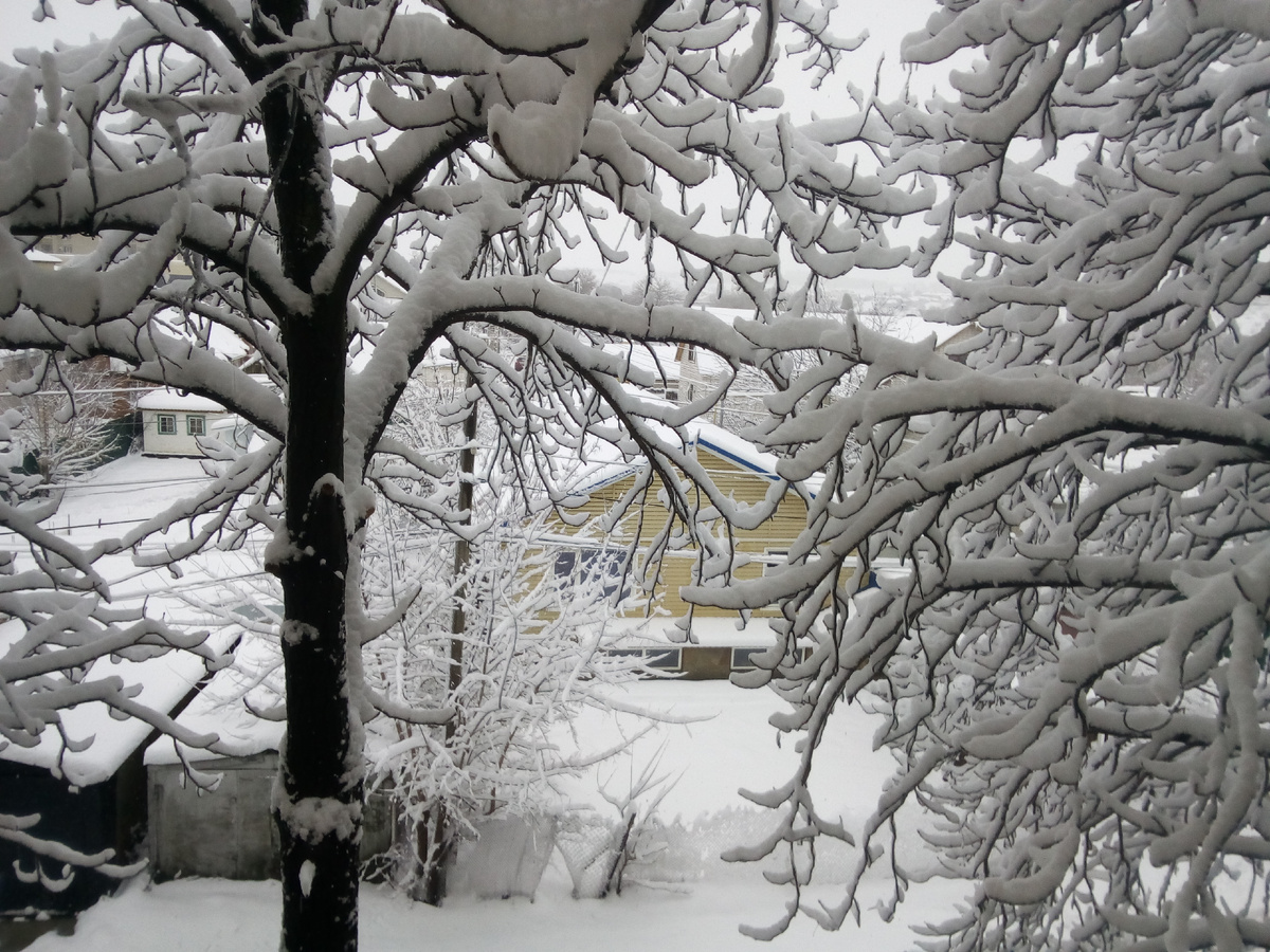 Грядет глобальное потепление и возможно в скоре мы больше не увидим такой красоты. 