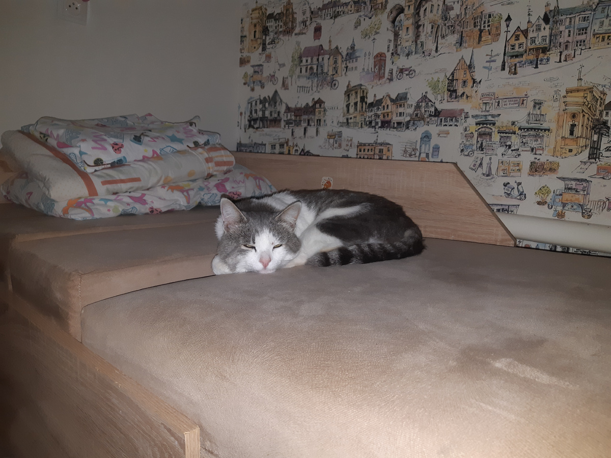 Это он Кисямба