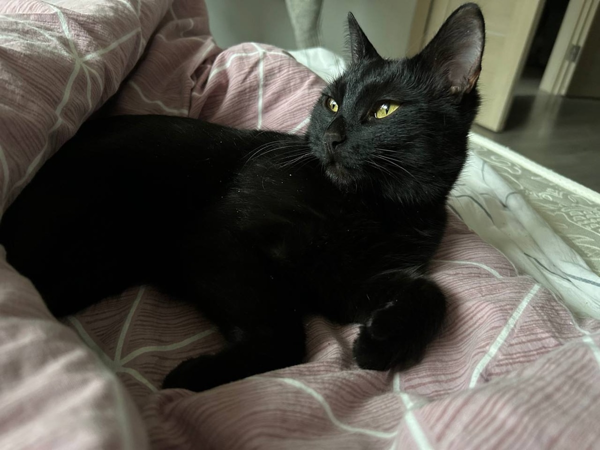    архив samaraonline24.ru