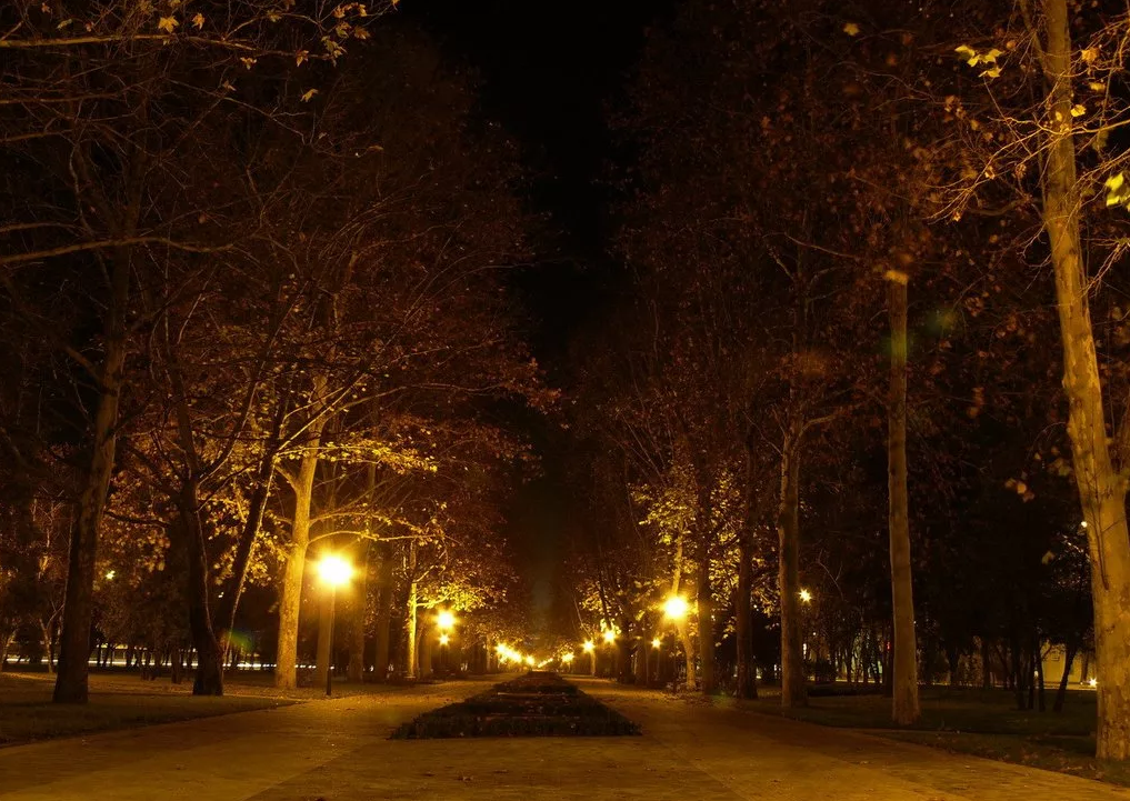 Краснодар. Чистяковская роща.